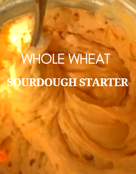 Whole Wheat Sourdough Starter with Fermented Raisin Brine 🌾🍇